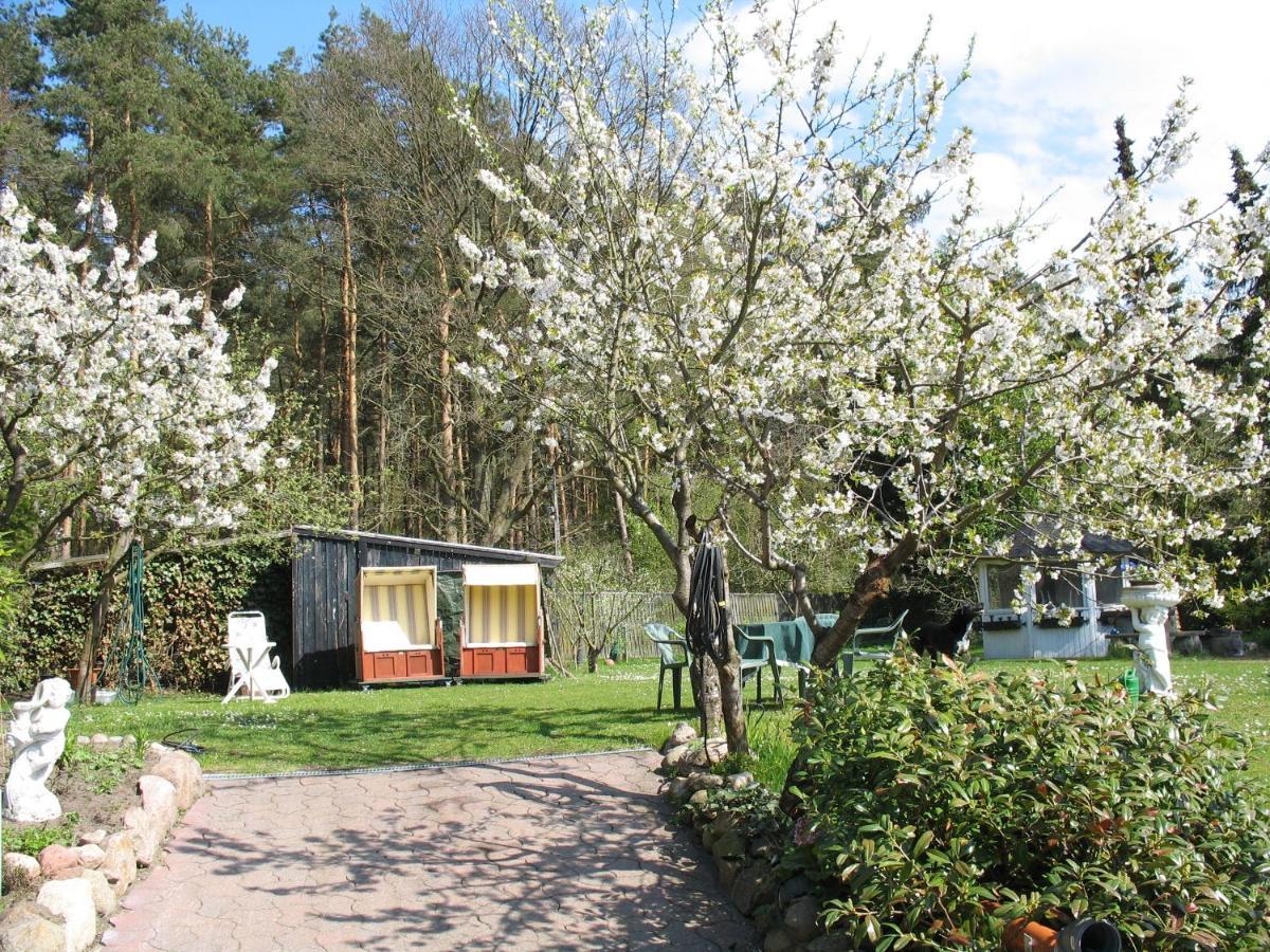 Groß Grönau Uni - Luebeck Appartement מראה חיצוני תמונה